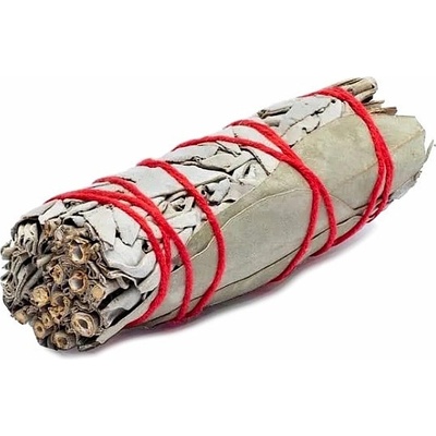 Nefertitis Šalvěj bílá a eukalyptus vykuřovací svazek NF31674 cca 10 cm – Zboží Dáma