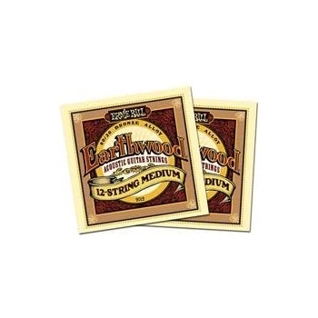 Ernie Ball 2012