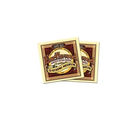Ernie Ball 2012