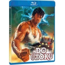 Do útoku BD