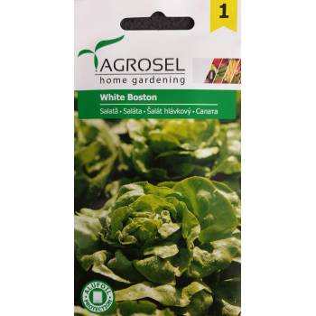 Image 1 of Agrosel Салата бяла White Bosten