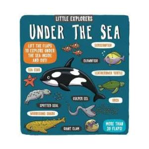 Little Explorers: Under the Sea (ISBN: 9781783708642)