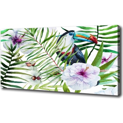 Foto obraz na plátne Tukan trópy 100x50 cm