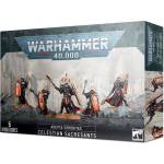 Games Workshop Celestian Sacresants (52-35)