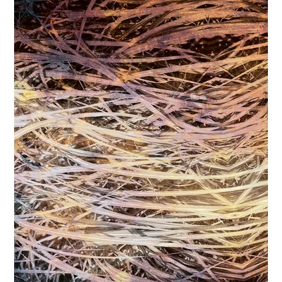 DIMEX MS-3-0381 vliesová fototapeta rozměry 225 x 250 cm