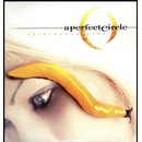 Thirteenth Step - A Perfect Circle LP