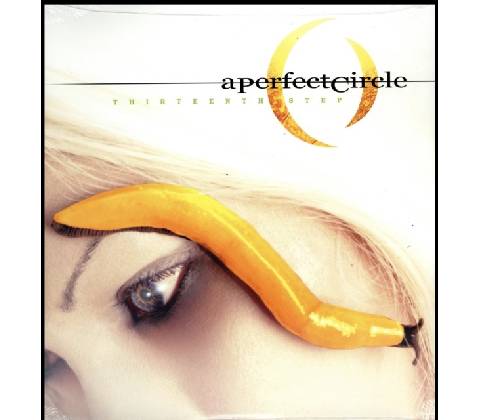 Thirteenth Step - A Perfect Circle LP