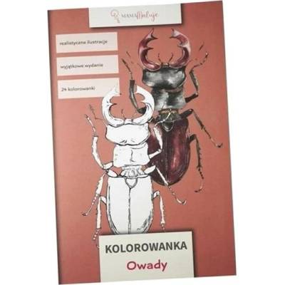 Omaľovánka Hmyzrealistické ručne robené ilustrácie