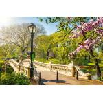DIMEX ART Флизелинов фототапет мост в сентръл парк 375 x 250 см