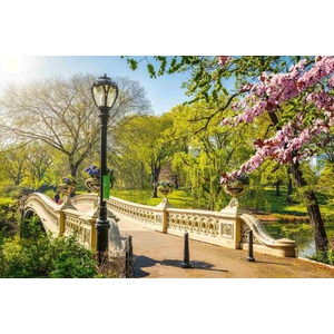 DIMEX ART Флизелинов фототапет мост в сентръл парк 375 x 250 см