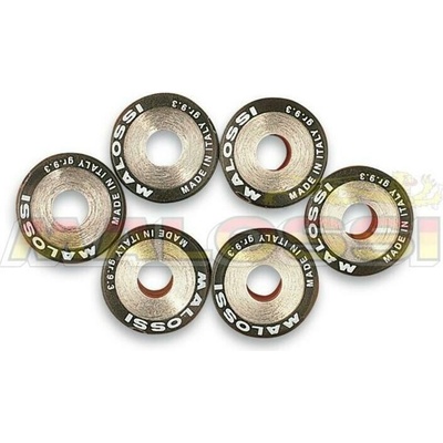 MALOSSI Variátorové válečky 20x17mm 8,5gr - 6 kusů 6611095.E0