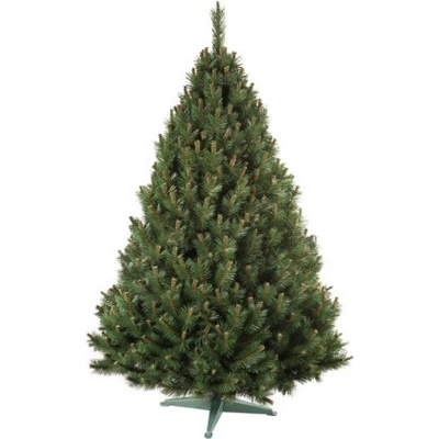 Nohel Garden NG 91412 Stromek BOROVICE umělý vánoční plus stojan 160cm