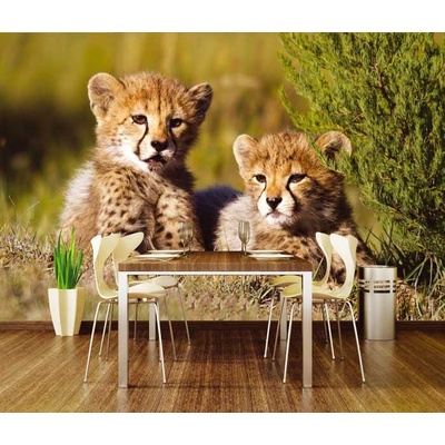 Dimex XL-215 vliesová fototapeta na zeď Cheetah rozměry 330 x 220 cm