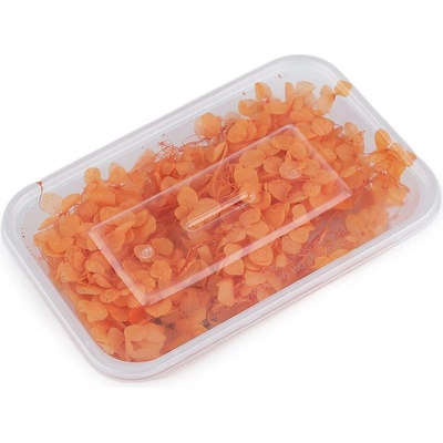 Sušené / stabilizované hortenzie pro suché i mokré aranžování - 12 oranžová