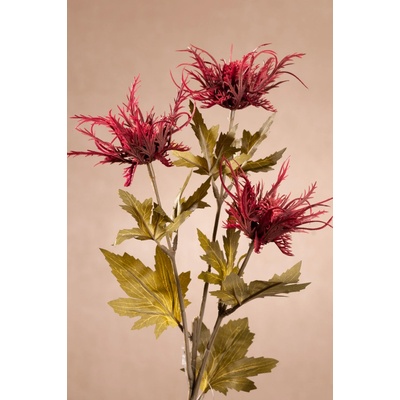 Paramit DRY WILD SEA HOLLY Aranžovací květina červená 67 cm