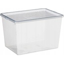 Plast Team Basic Shoe Box 23,8 x 34 x 21,2 cm