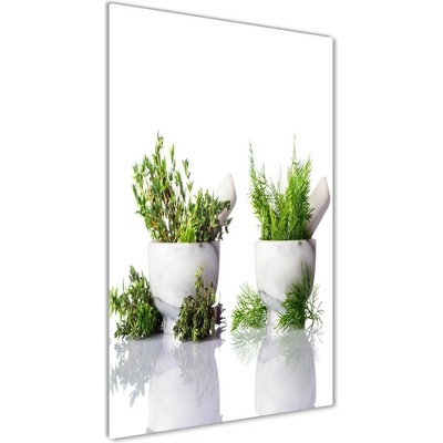Vertikálny foto obraz sklenený Mažiar a korenia 50x100 cm