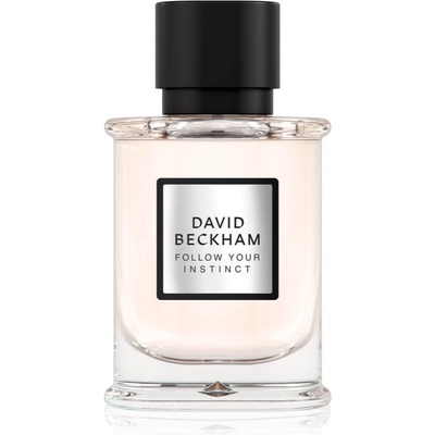 David Beckham Follow Your Instinct parfémovaná voda pánská 50 ml