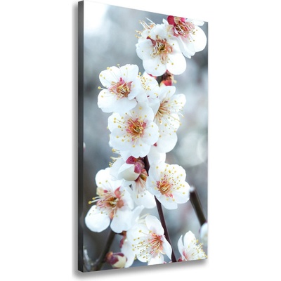 Vertikálny foto obraz canvas Kvety višne 50x100 cm