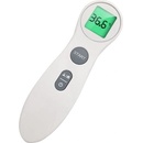 Thermometer Model 306