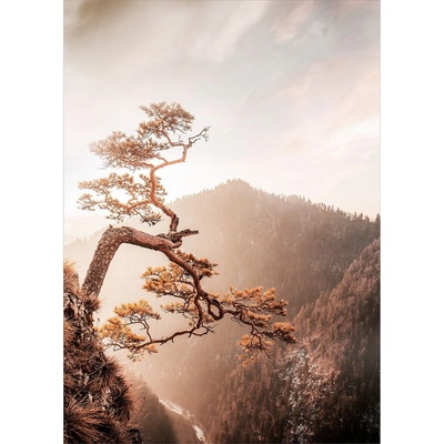 Styler Brown Tree obraz béžová