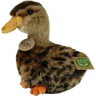 Eco-Friendly Kachna 23 cm