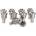 Beast Bits 10 ks 700025