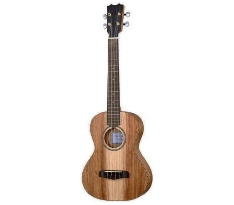 APC TS Tenor Simples APC
