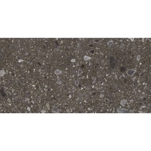 EBS Terrazzo 60 x 120 cm čierna matná 1,43m²