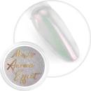Allepaznokcie Aurora pigment 05