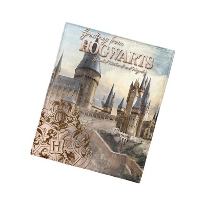 Carbotex Dětská deka Harry Potter Bradavické Tajemství