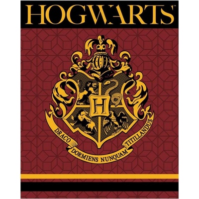 EplusM Deka Harry Potter dětská