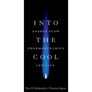 Into the Cool | Eric D Schneider (ISBN: 9780226739373)