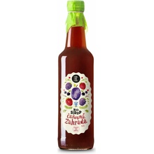 Koldokol Sirup čarovná záhrada bio 0,5 l