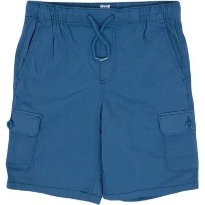 GAP V-hybrid cargo l