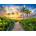 Castorland - Puzzle Colorful Sunrise in Miami, USA - 3 000 piese
