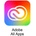 Adobe CC for teams All Apps Multiple Platforms EU ENG (1 User/1 Year) (65297754BA01B12)