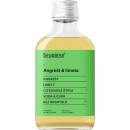 Sirupárna Domácí Angrešt & Limeta Sirup 100 ml
