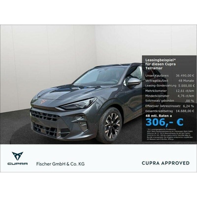 Cupra Terramar 1.5 eTSI DSG 110 kW