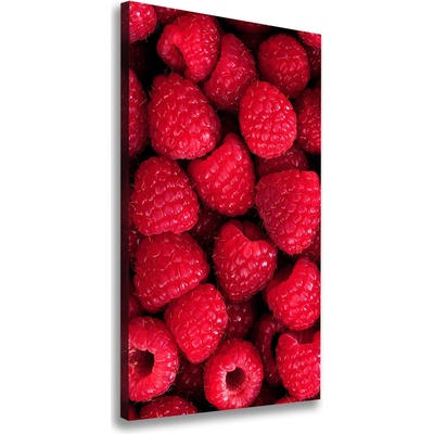 Vertikálny moderný fotoobraz canvas na ráme Maliny 50x100 cm