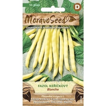 Fazuľa kríčková žltá BLANCHE MoravoSeed