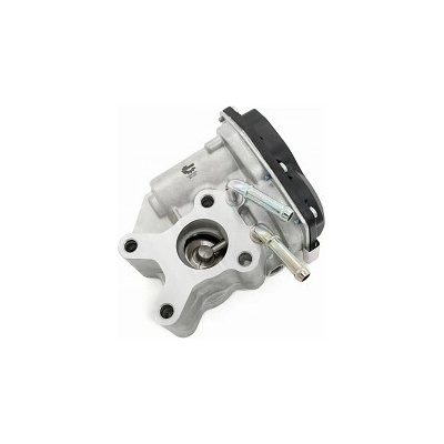 SKV EGR ventil NISSAN Navara, Pathfinder III, Cabstar, NT400, NV350 2.5 dCi
