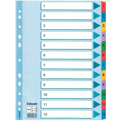 Rozdružovač A4 kartonový Esselte Mylar - barevný / 1 - 12 30461