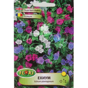 Image 1 of Флориан Ехиум (Усойниче) Echium plantagineum