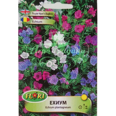 Флориан Ехиум (Усойниче) Echium plantagineum