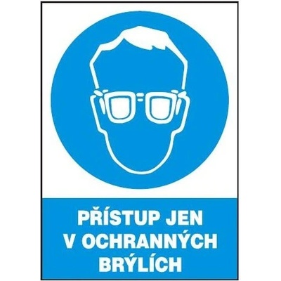 Přístup jen v ochraných brýlích 210x297mm - plast