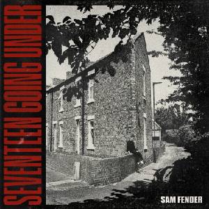 Sam Fender - Seventeen Going Under (LP) (0602438344574)