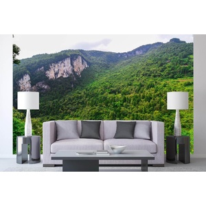 DIMEX ART Самозалепваща се флизелинова фототапета улонг, китай 375 x 250 см