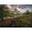 Ravensburger - Puzzle Clarée Vallée, francúzske Alpy - 1 000 piese