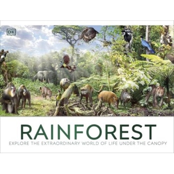 Rainforest - DK